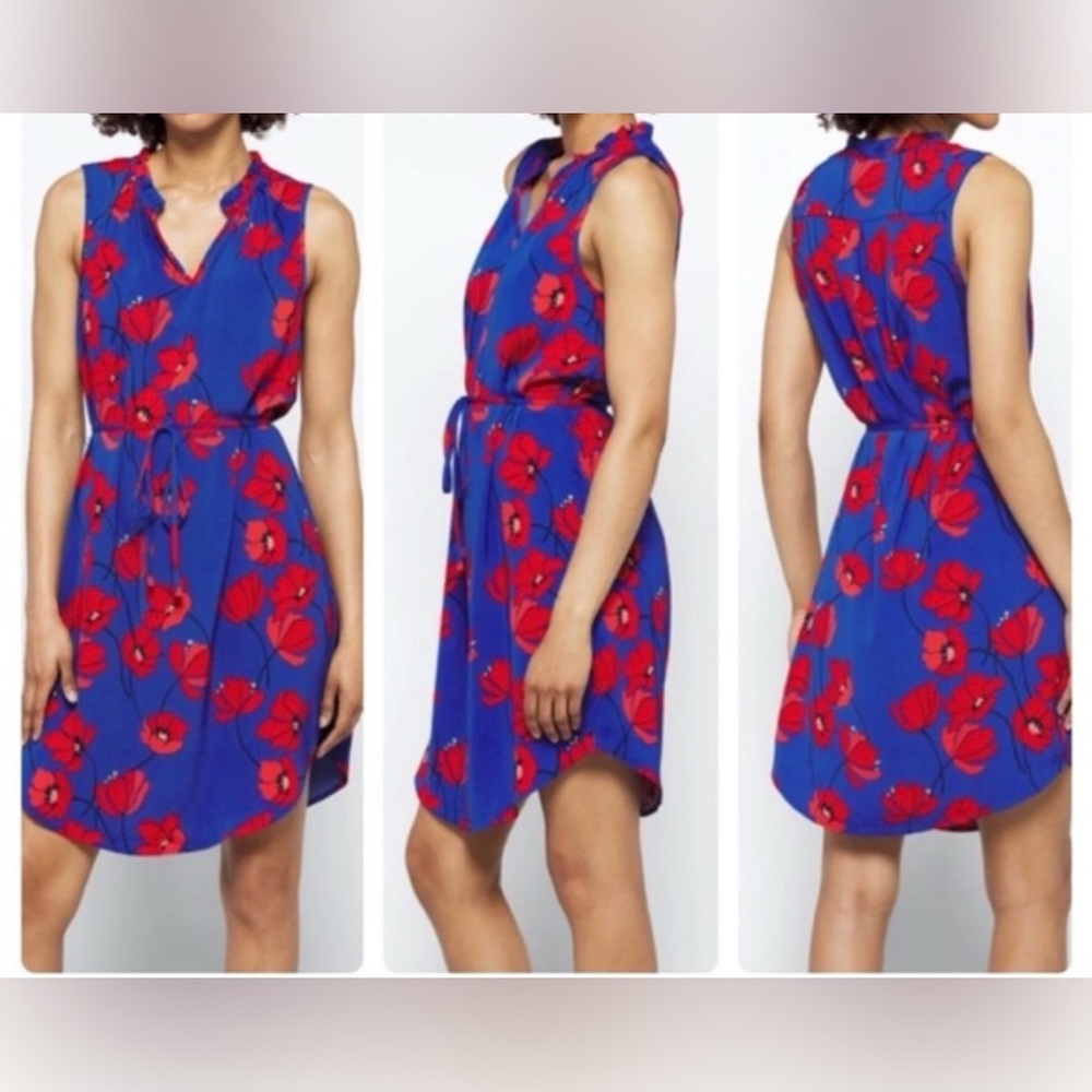 Market & Spruce Jeanie Ruffle Detail Dress-sleeveless red/blue floral size L - Picture 5 of 6